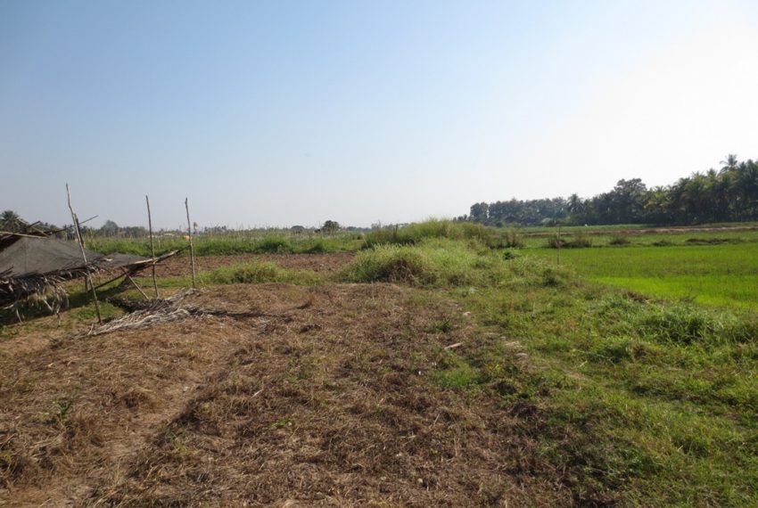 Agriculture Land For Sale (3)