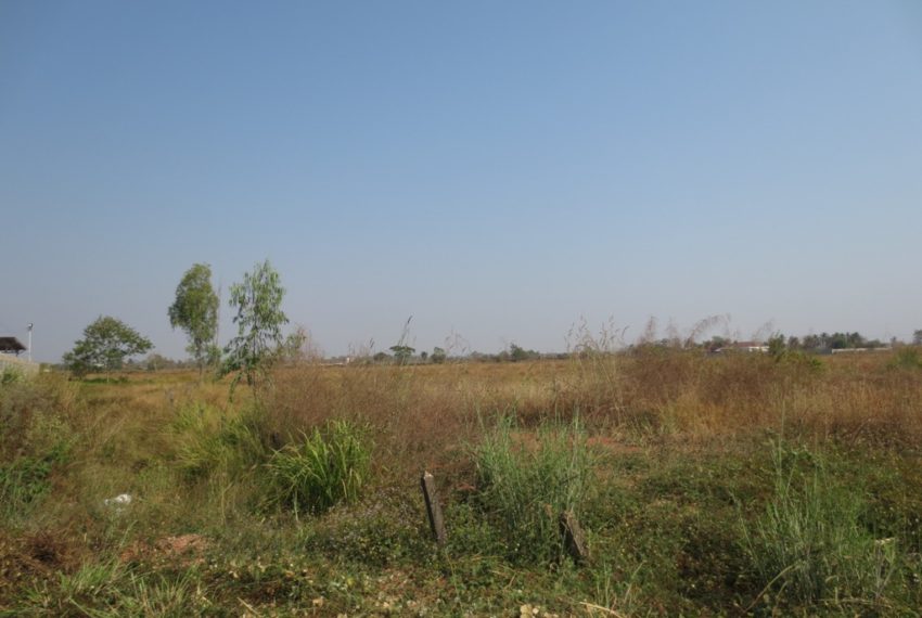Agriculture Land For Sale (4)