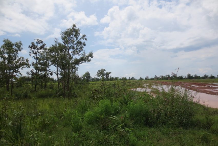Agriculture Land For Sale (5)
