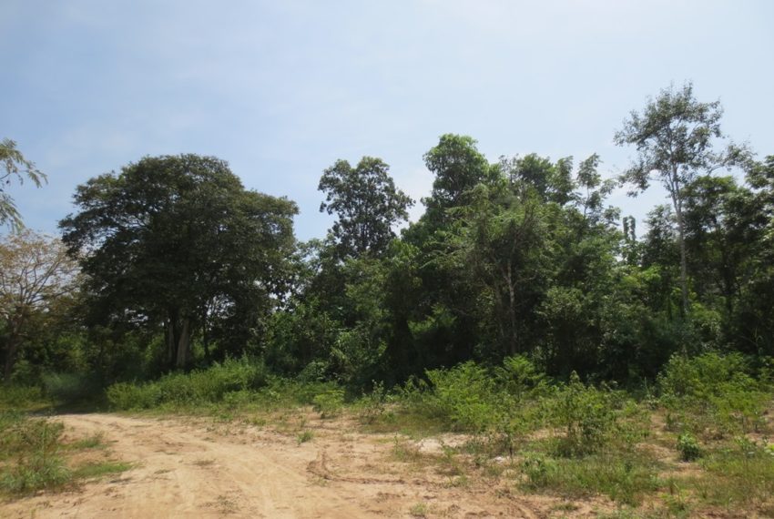 Agriculture Land For Sale (5)