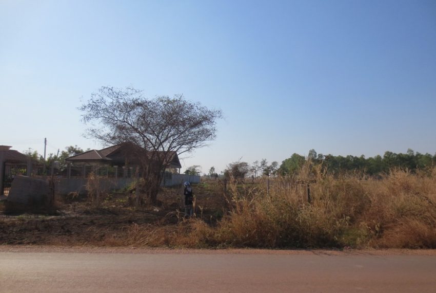Agriculture Land For Sale (5)