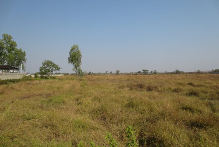Agriculture Land For Sale (5)
