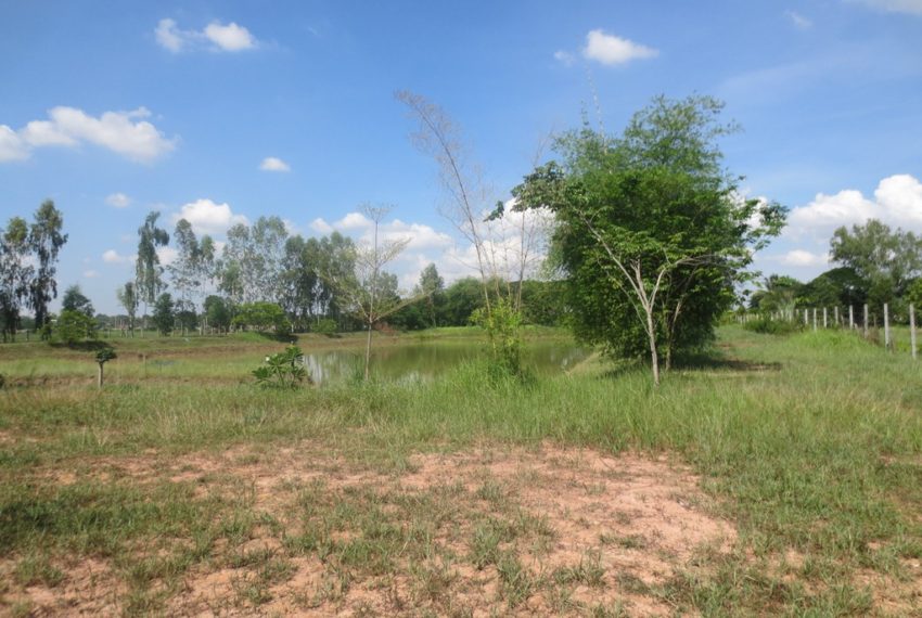 Agriculture Land For Sale (6)