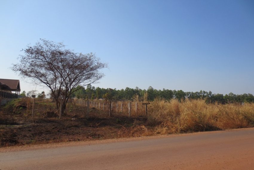 Agriculture Land For Sale (7)