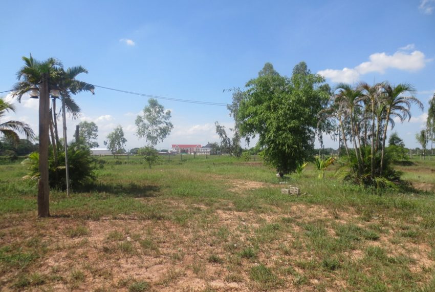 Agriculture Land For Sale (9)