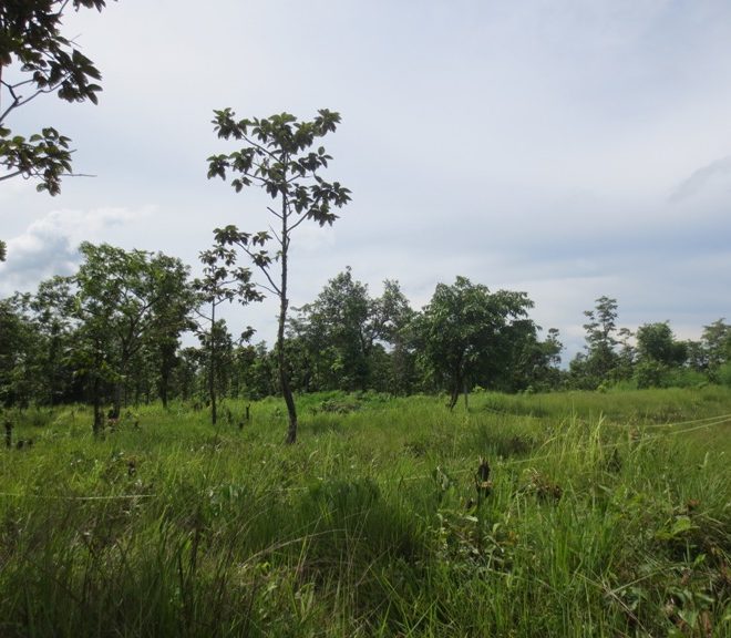 Agriculture Land for sale (2)