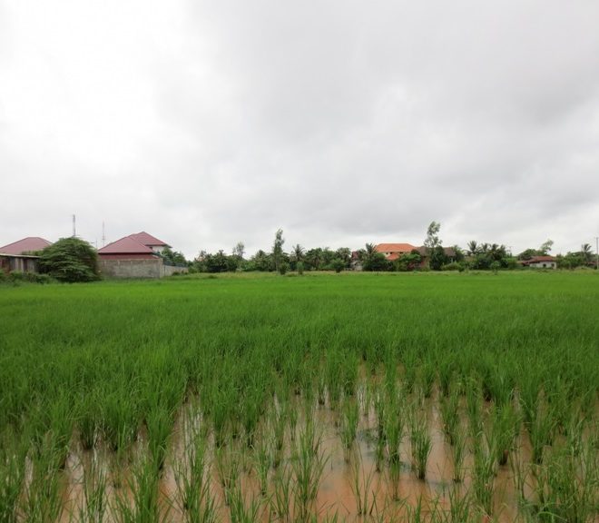 Agriculture Land for sale (2)