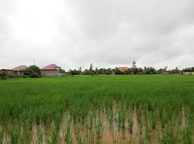 Agriculture Land for sale (2)