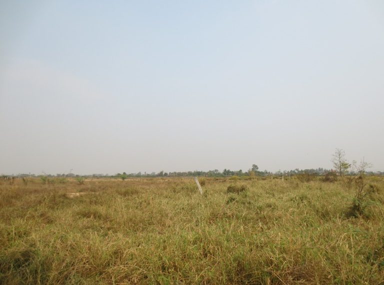 Agriculture Land for sale (3)