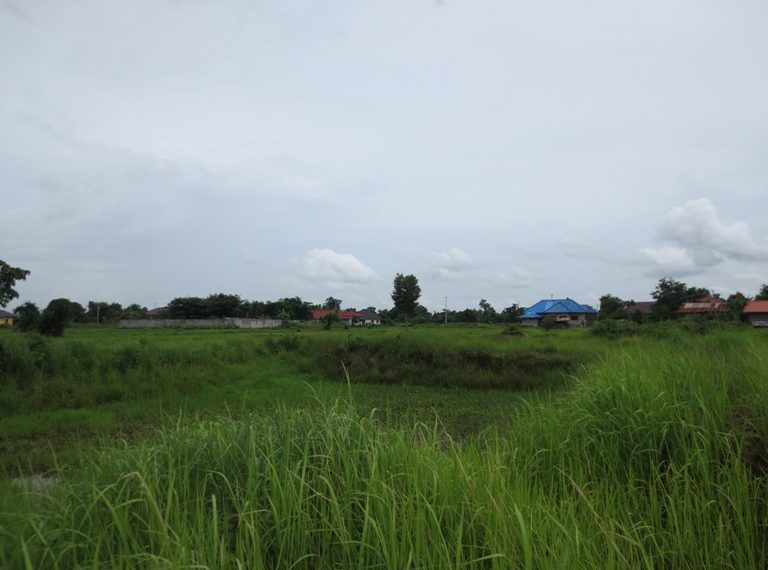 Agriculture Land for sale (4)