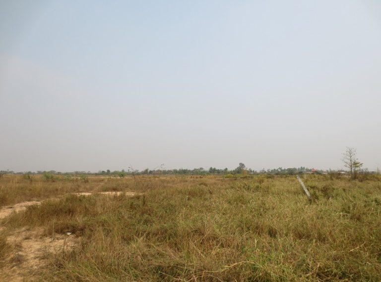 Agriculture Land for sale (5)
