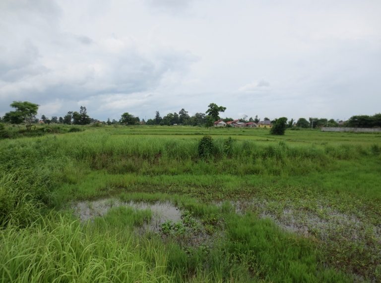 Agriculture Land for sale (9)