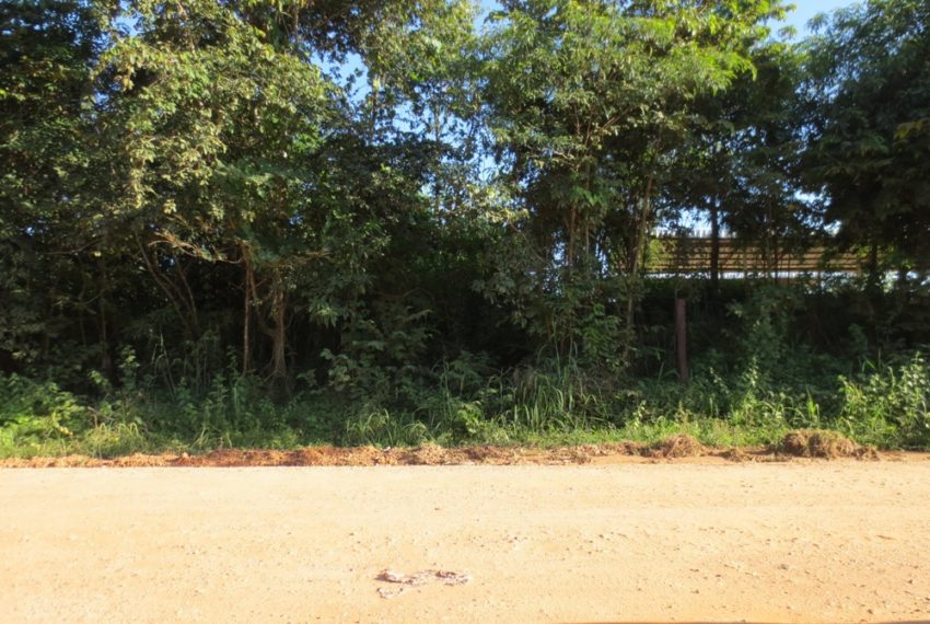 Agriculture land (8)