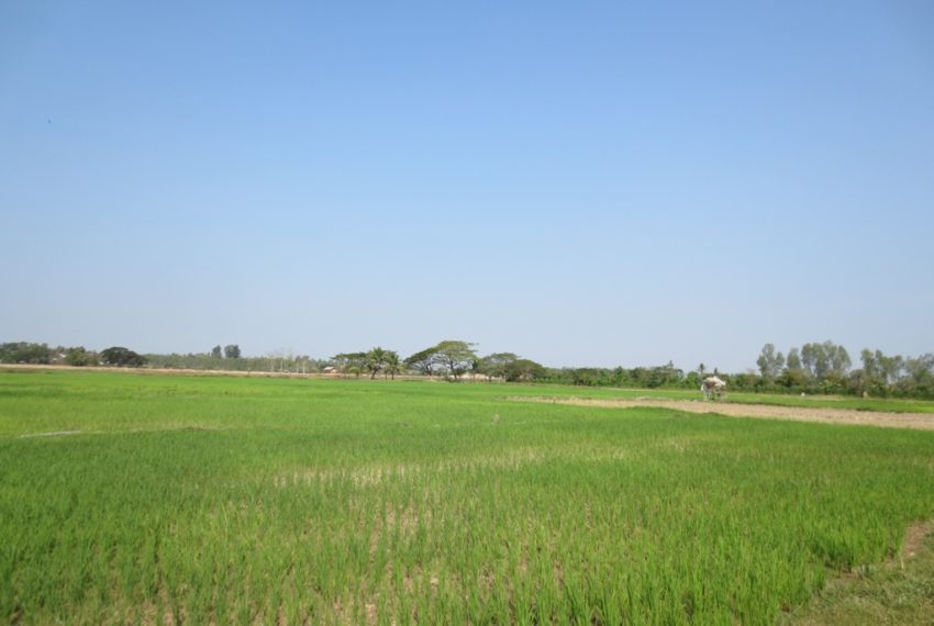 Agriculture land For Sale (1)