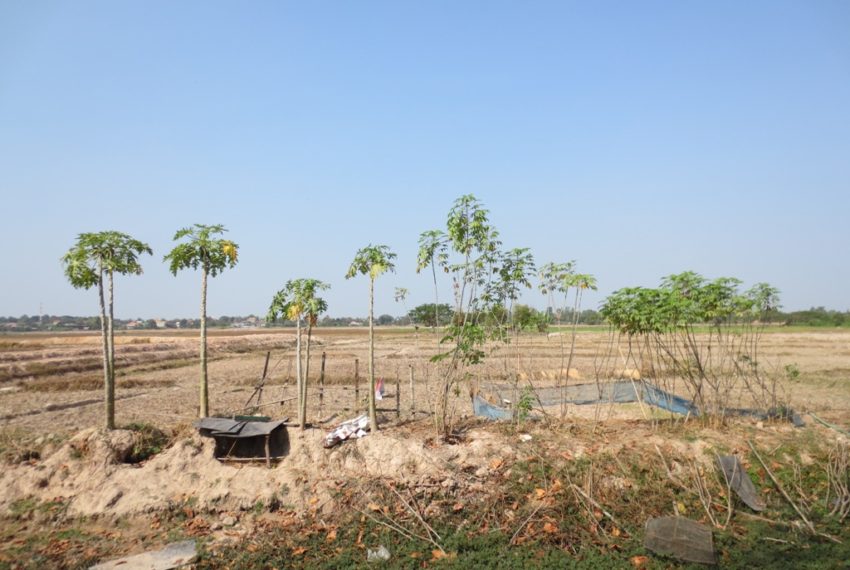 Agriculture land For Sale (2)