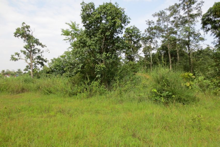 Agriculture land For Sale (6)