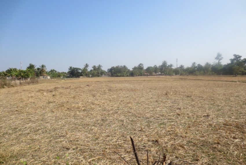 Agricuture   Land (3)