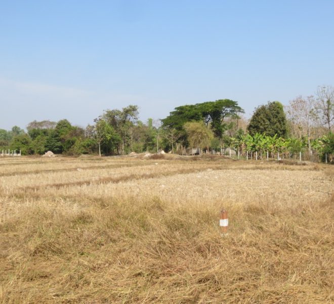 Agriulture  Land (1)