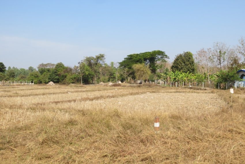 Agriulture  Land (1)