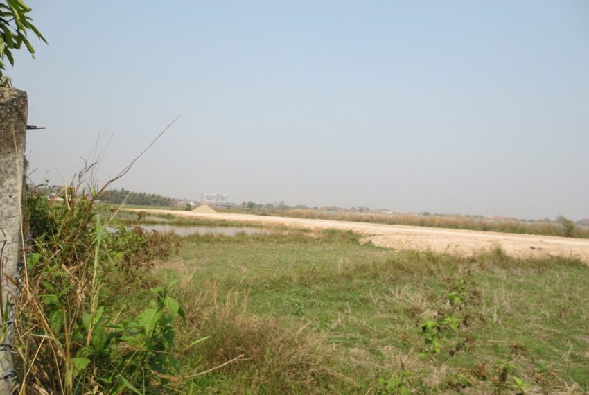 Agriulture Land (10)
