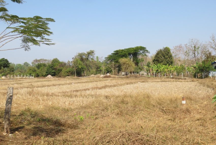 Agriulture  Land (2)