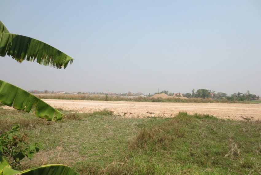 Agriulture Land (7)