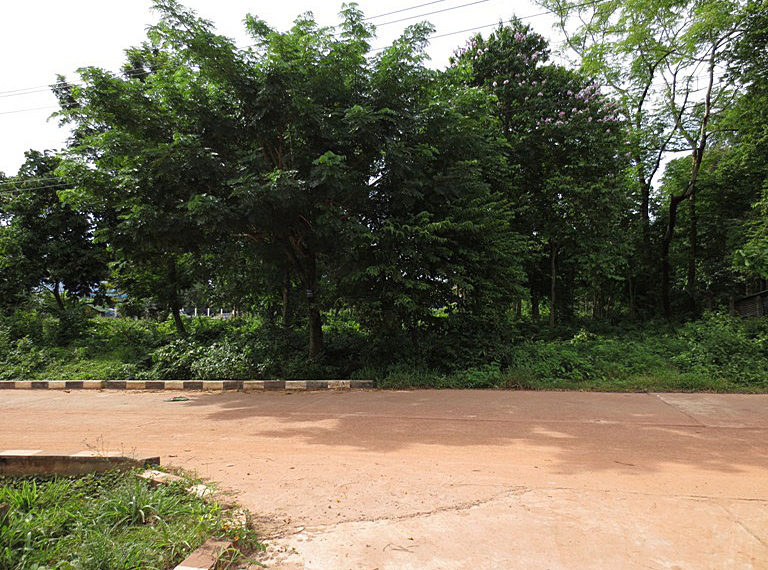Cheap land in Vientiane Capital (3)