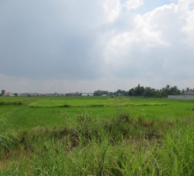 Commercial Land (1)