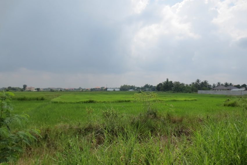 Commercial Land (1)