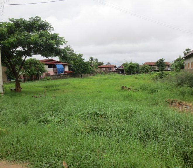 Commercial Land (1)