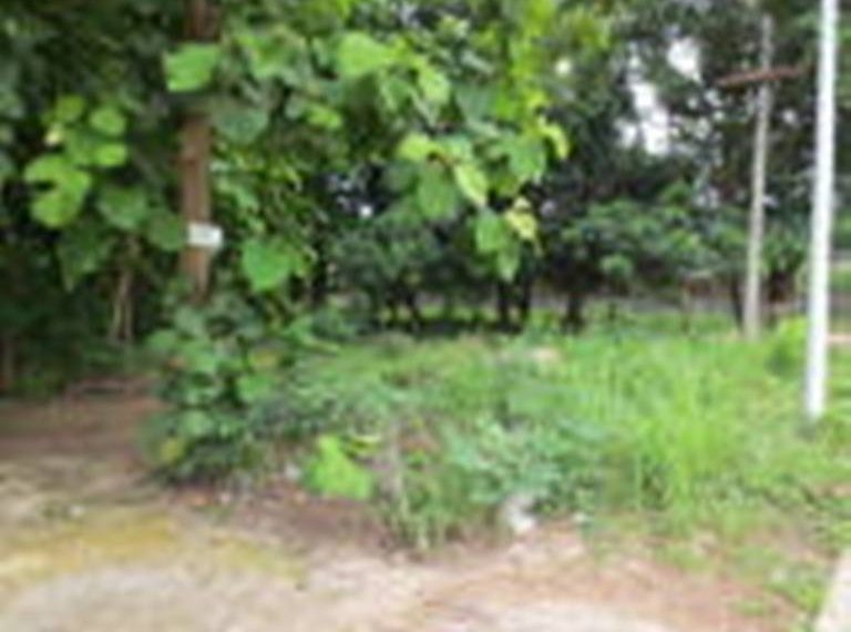 Commercial Land (2)