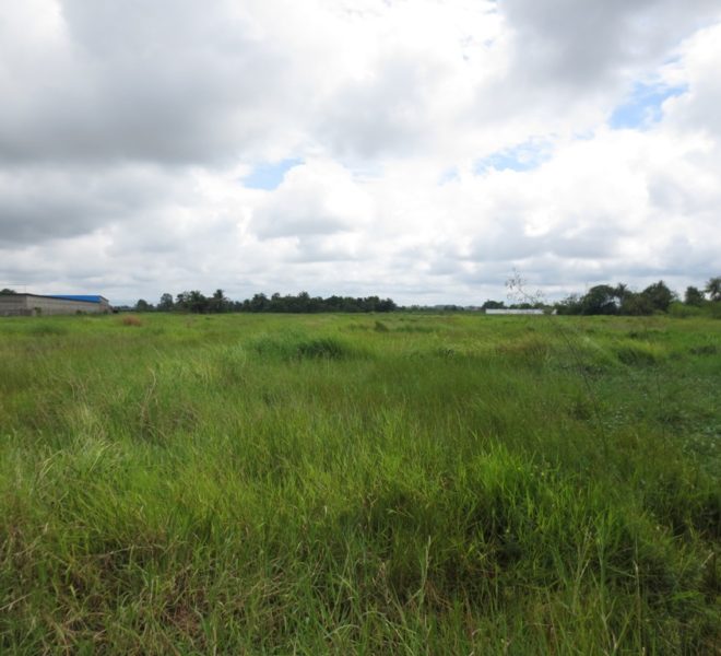 Commercial Land (2)