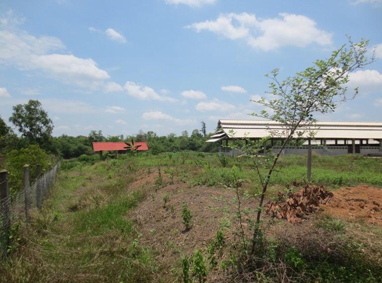 Commercial Land (4)