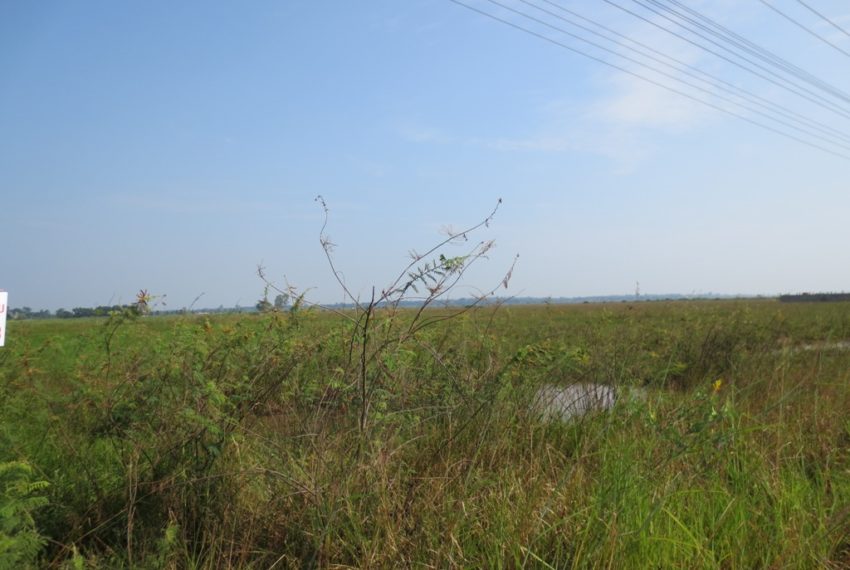 Commercial Land (5)