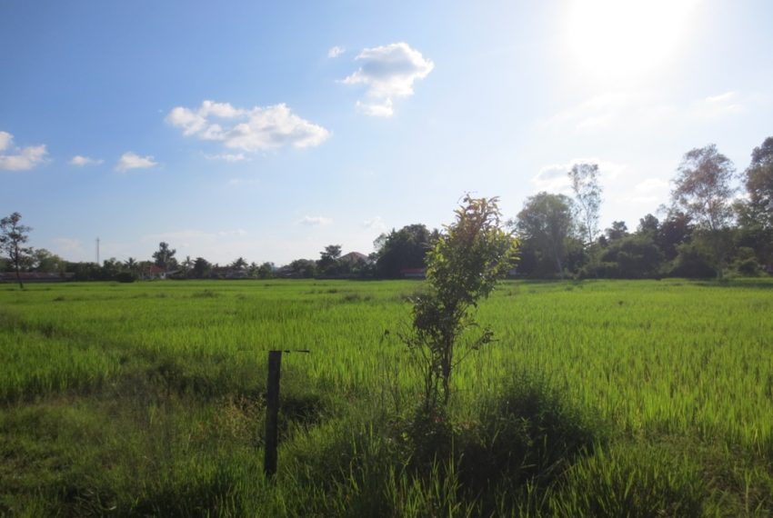 Commercial Land For Sale (3)
