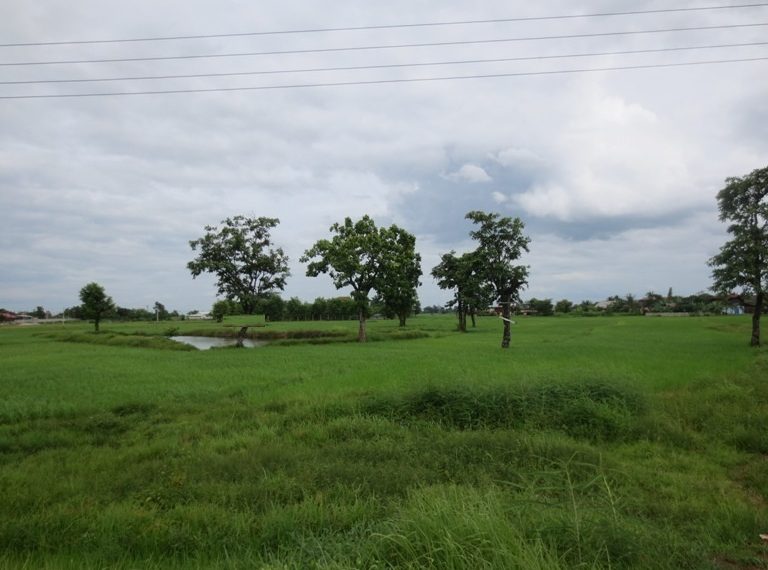 Commercial Land For Sale (4)