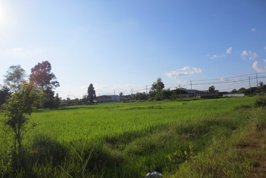 Commercial Land For Sale (5)