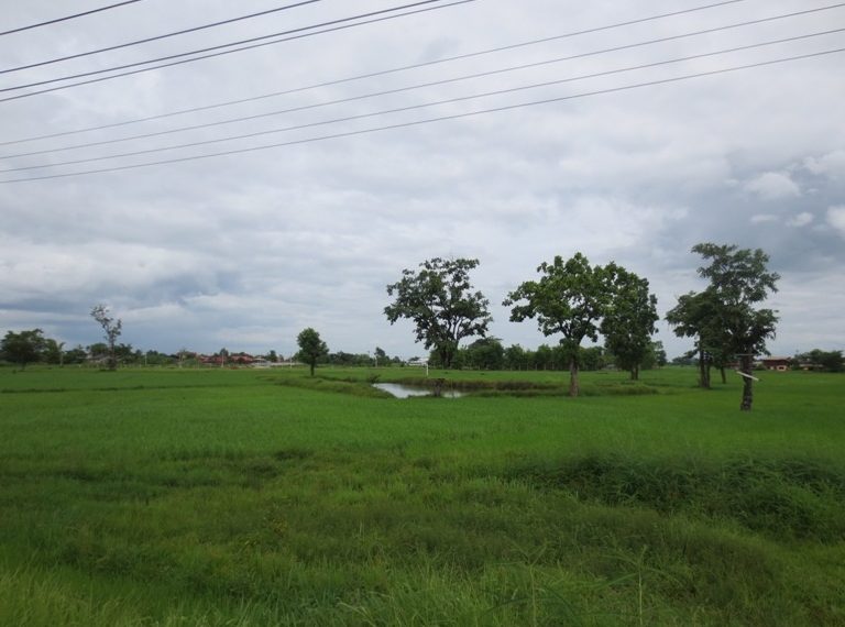 Commercial Land For Sale (9)