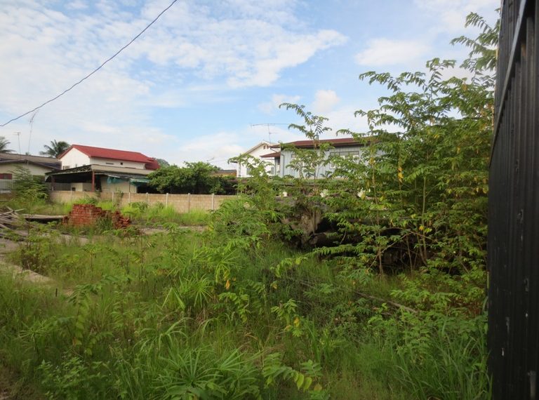 Commercial Land For Sale (9)