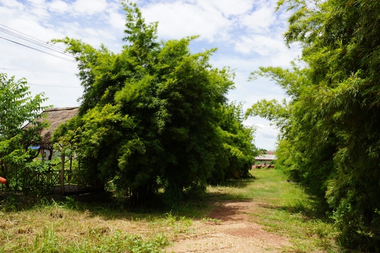 Hotel in for rent in Vientiane (9)