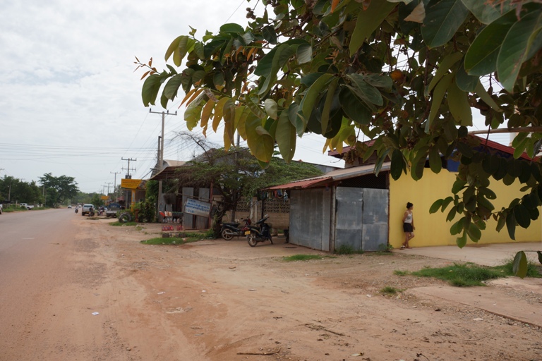 House For Rent (6)