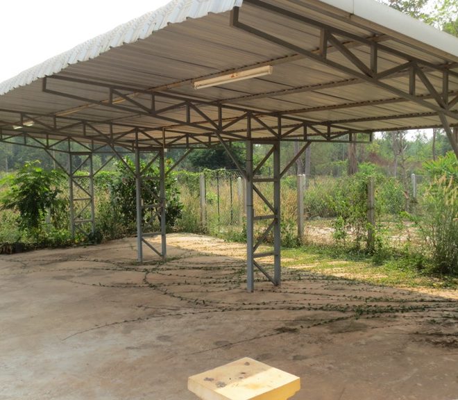 House for Sale (1)