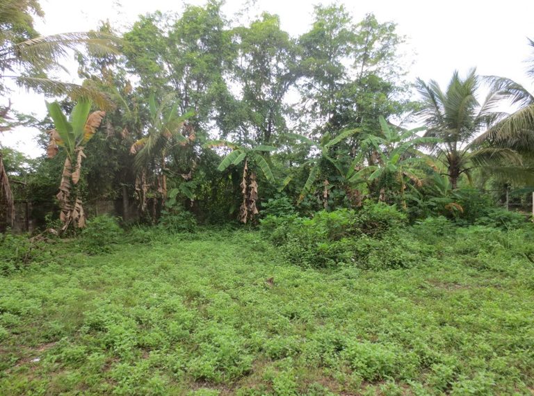 House for Sale (7)