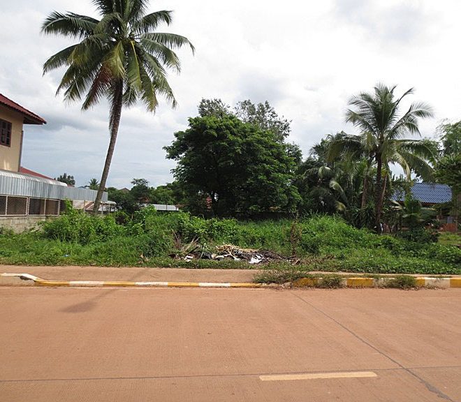 Land by concreat road in Laos (2)