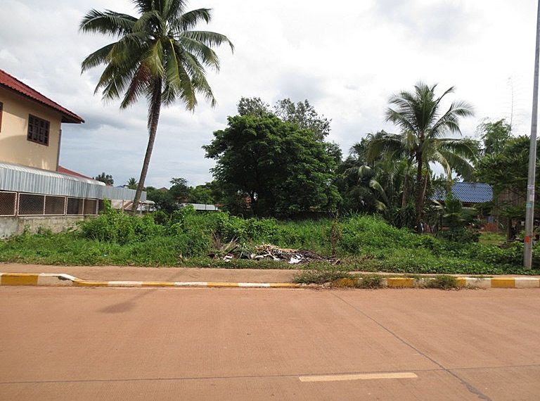 Land by concreat road in Laos (2)