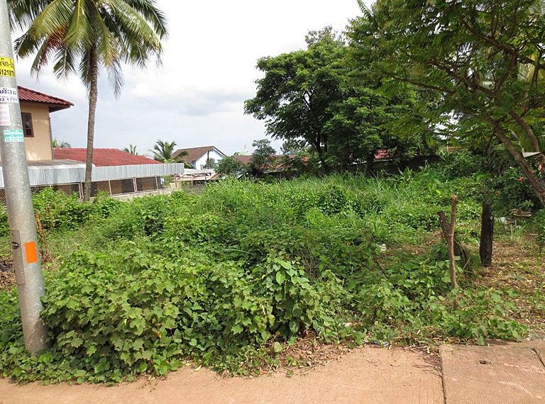 Land by concreat road in Laos (3)