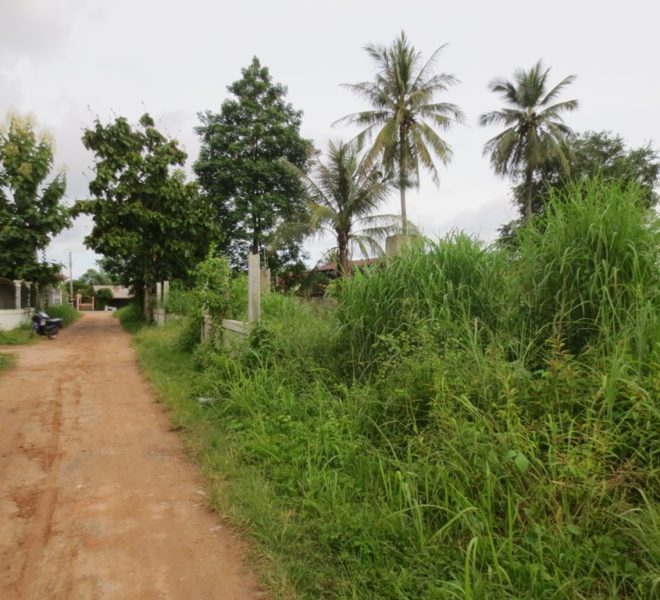 Land for Sale  (1)