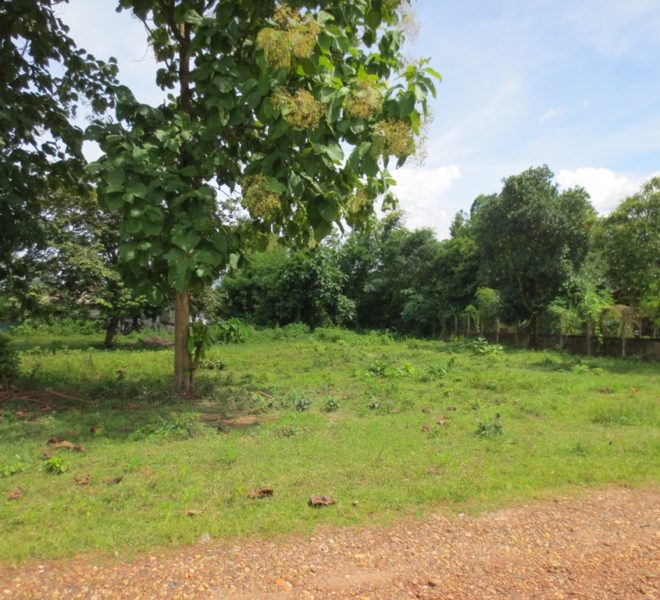 Land for Sale (1)