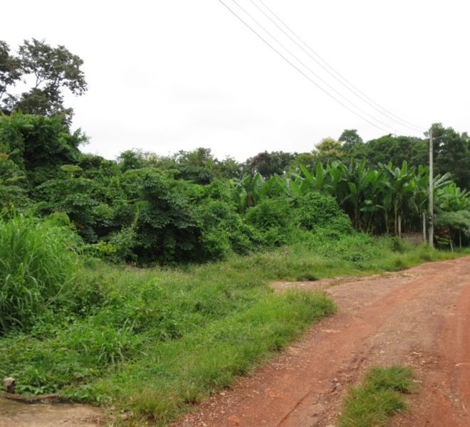 Land for Sale (1)