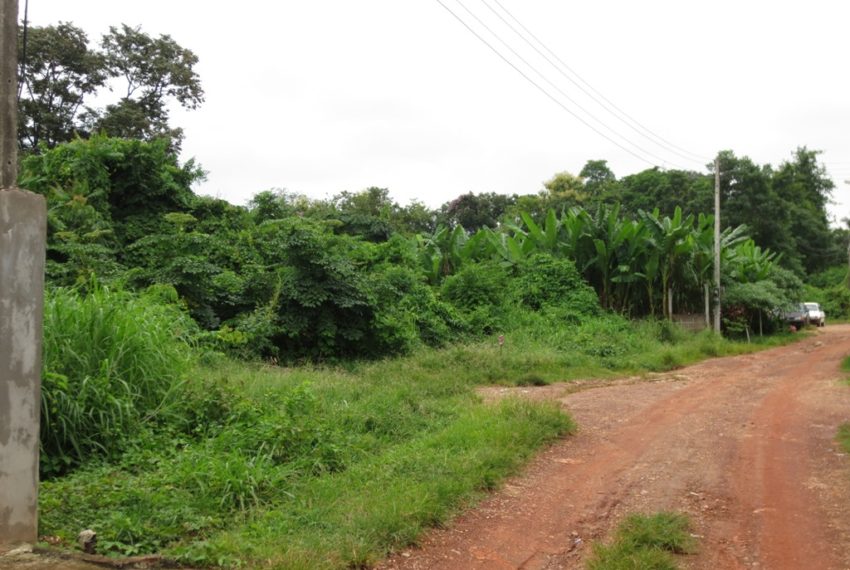 Land for Sale (1)